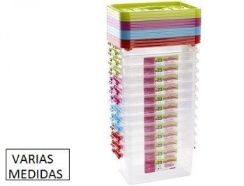 Caja multiusos plastico  tapa de color con asa VARIAS MEDIDAS