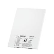 PLASTIFICACIONES A3 125" C/100UNID ECONOMICAS LEITZ